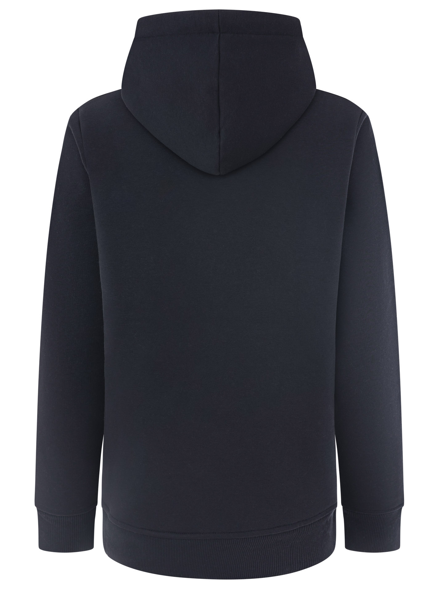 ART69d60a37019cb_005_Hoodie_BeachHome_31744_Marine_Back