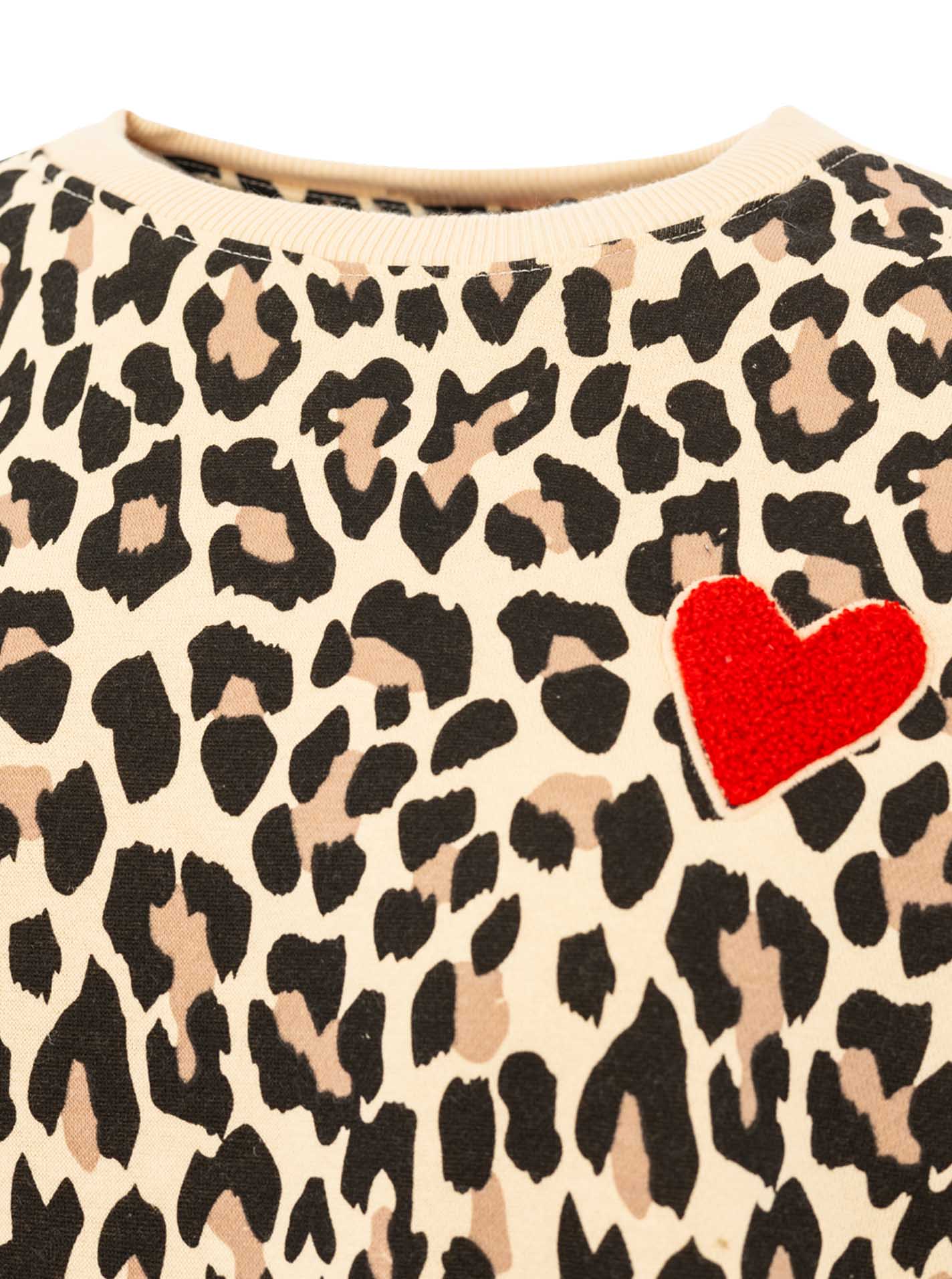 Sweatshirt "Leo Love"