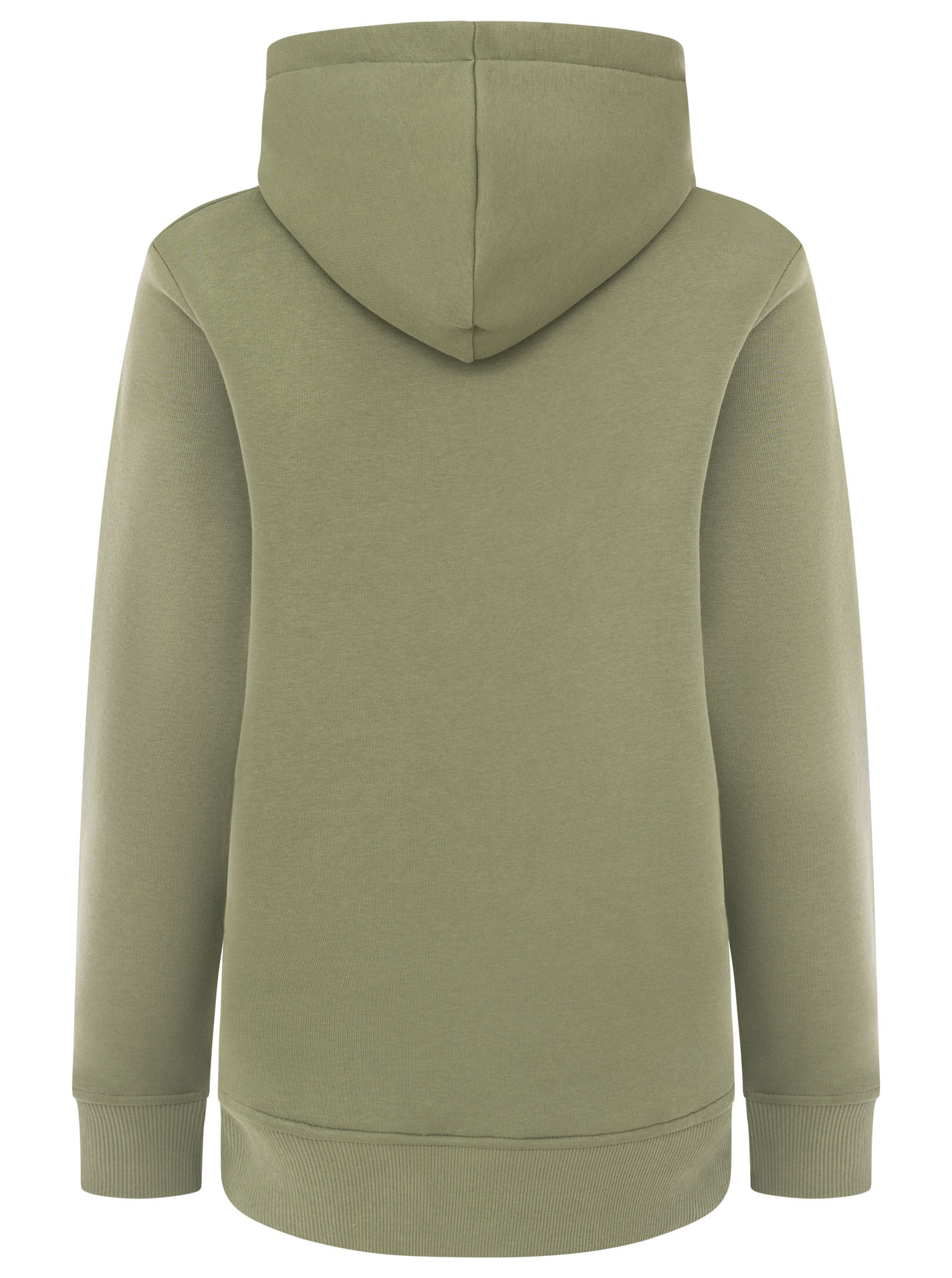 ART69d609694439c_044_Hoodie_WildatHeart_31740_Olive_Back