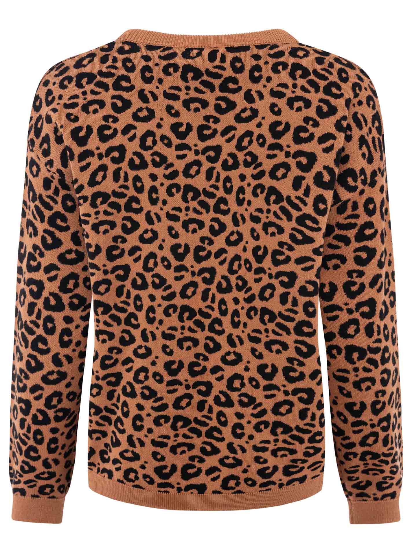 ART69b1286ad00be_032_33145-33_Camel5