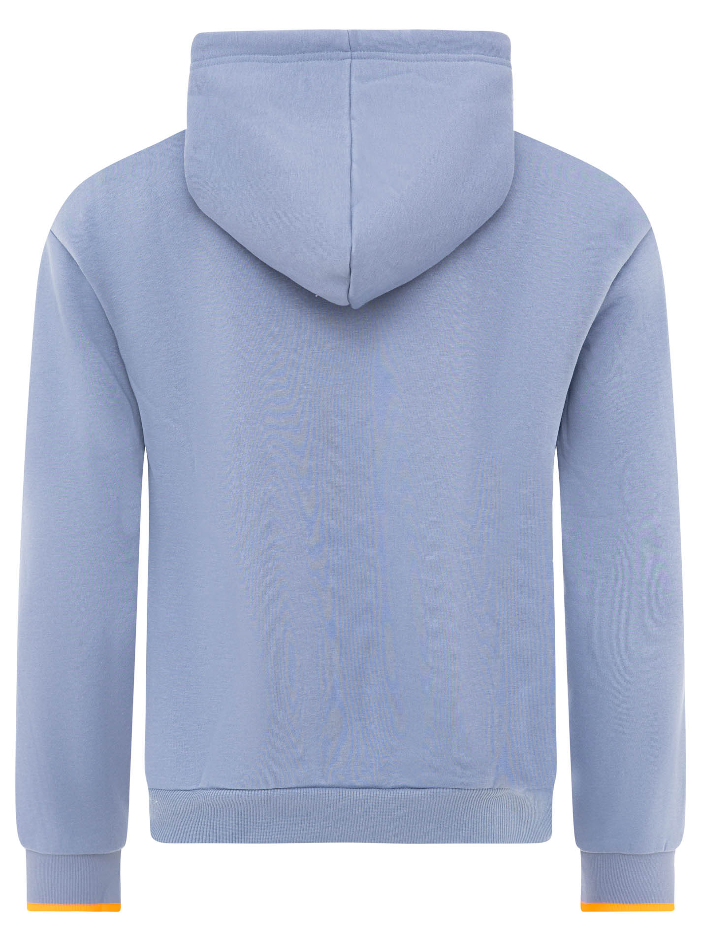 Herren Hoodie "Authorized"