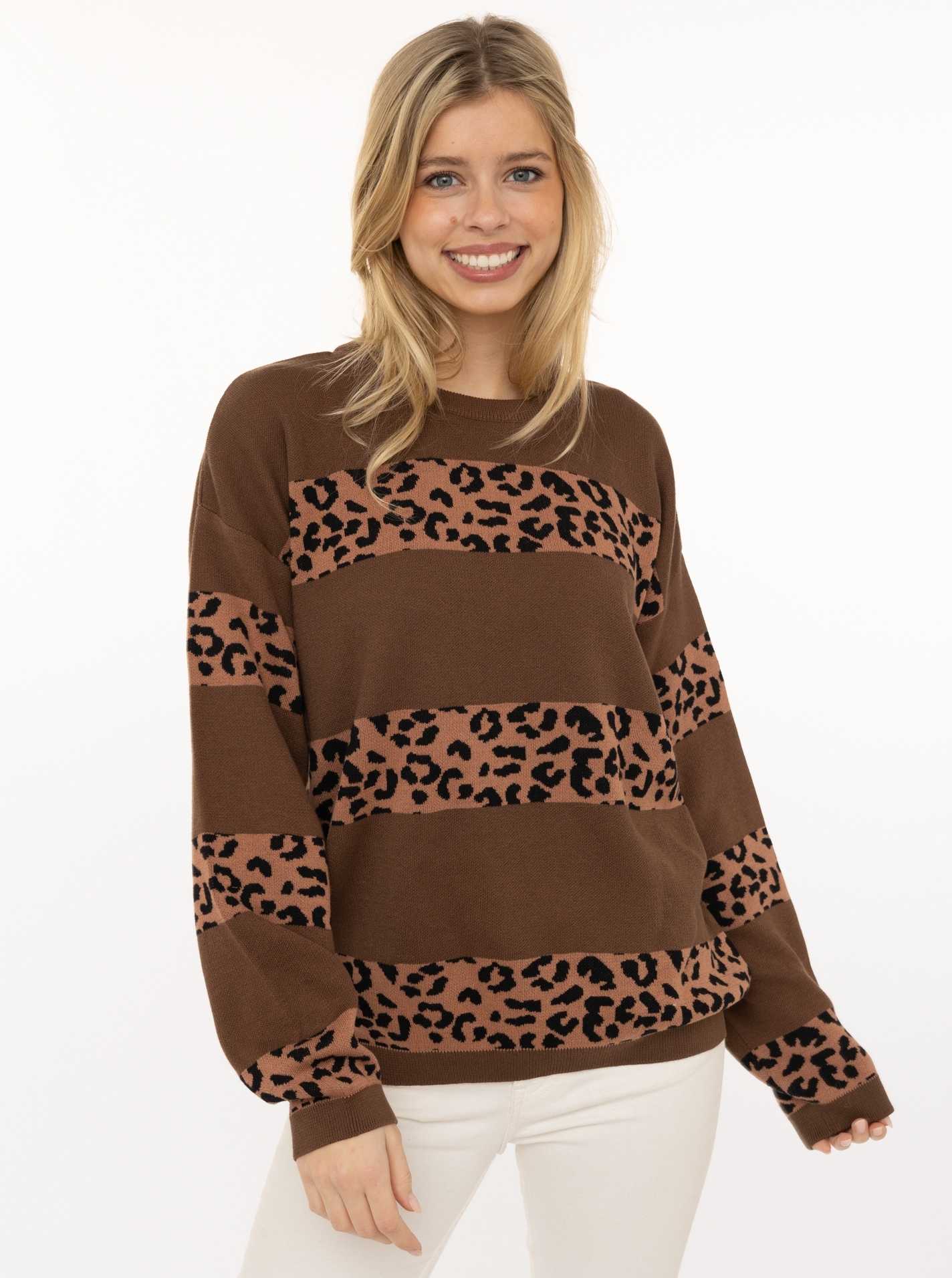 Pullover "Gestreifter Leo"