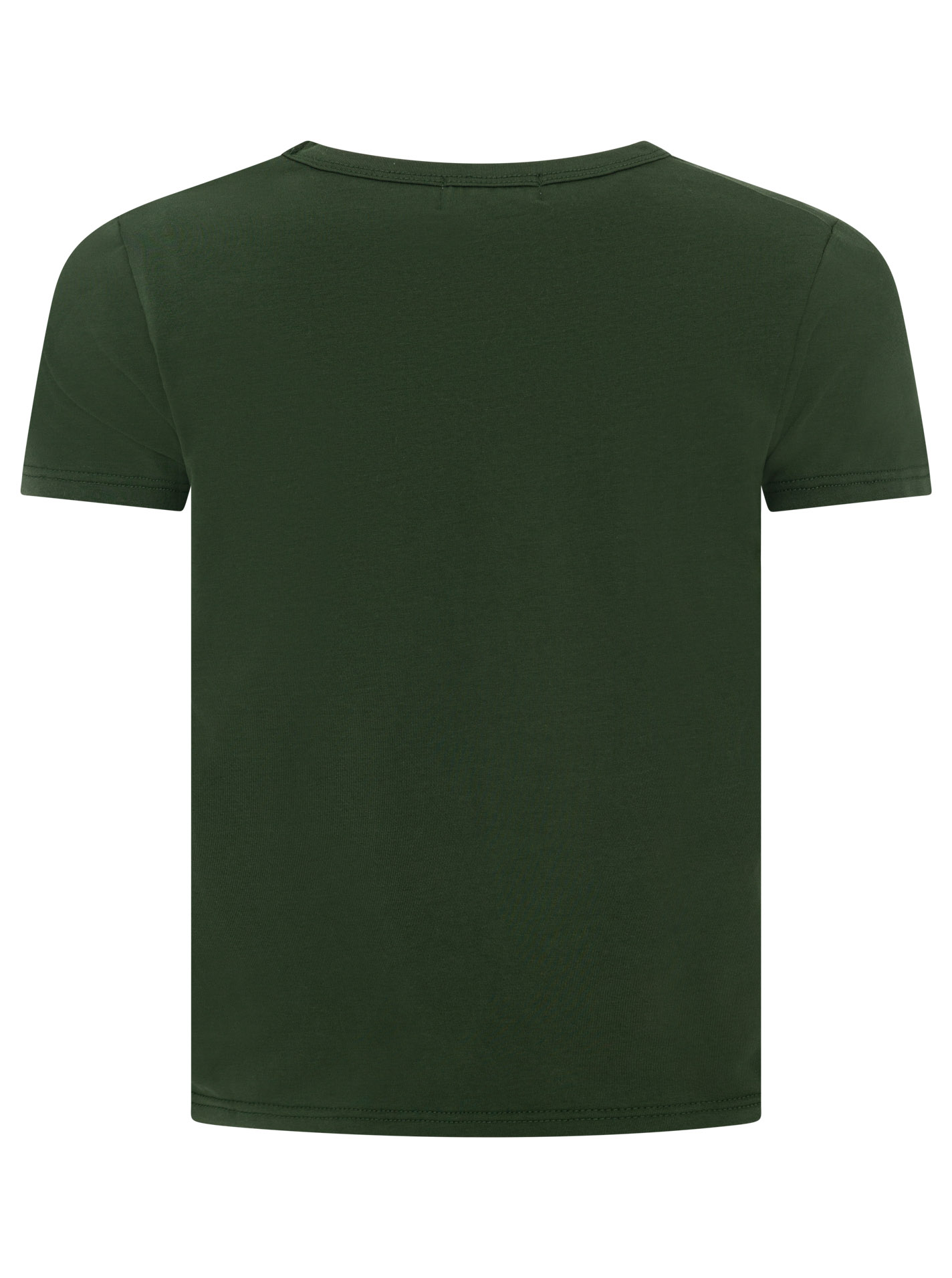 ART69c3b7224ac76_068_Tshirt_TennisClub_45055_Dunkelgrn_Back