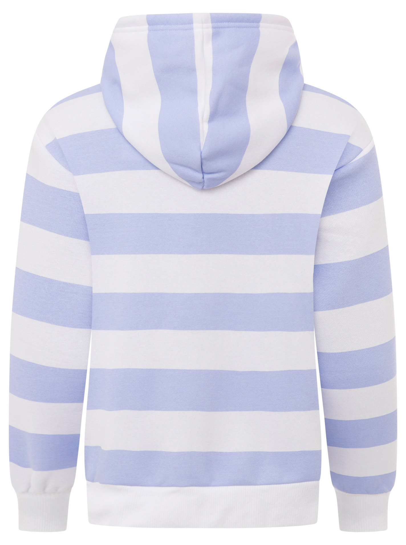 ART69c3cc4408775_018_Hoodie_BeachClub_45060_Hellblau_Back