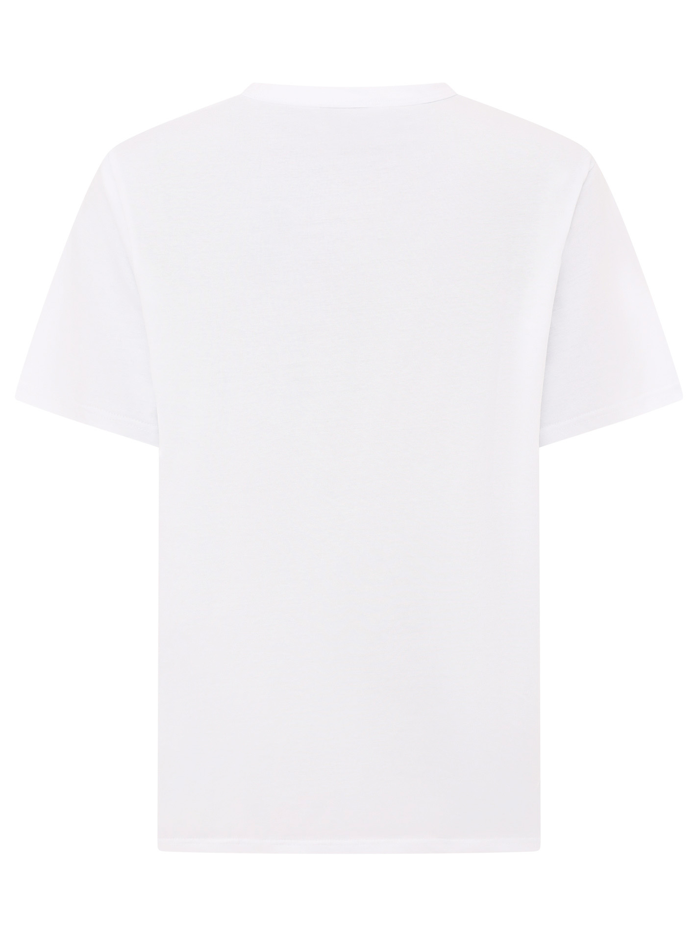 ART6938145e984e9_027_TshirtOversize_WildWildWild_45011_Wei_Back