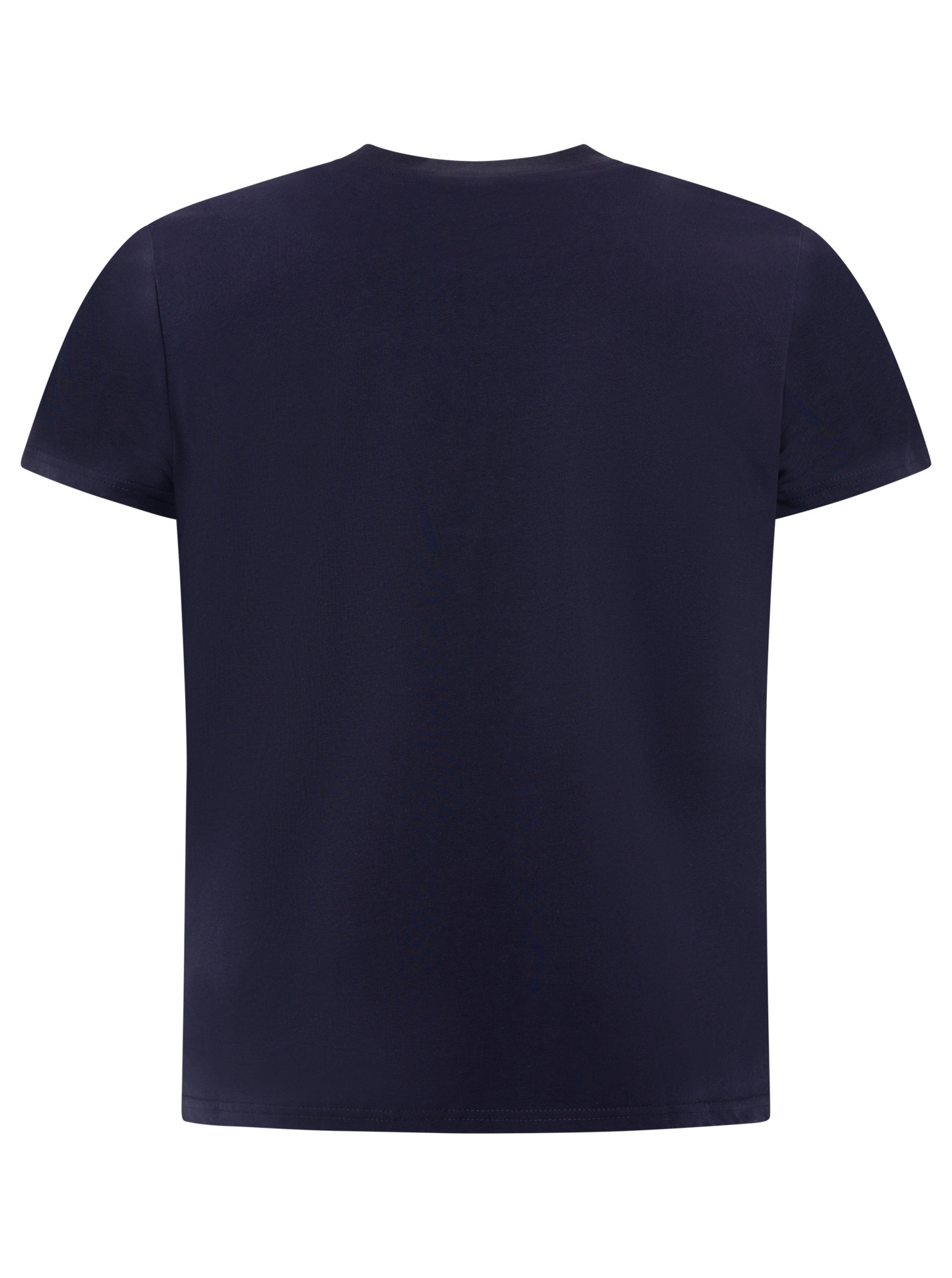 ART6985d669ca0de_019_Herren_TshirtRegular_MOIN_47040_Marine_Back