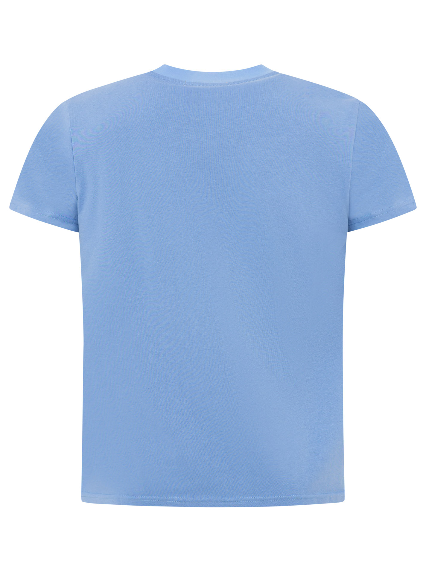 ART6985d669ca0de_018_Herren_TshirtRegular_MOIN_47040_Hellblau_Back