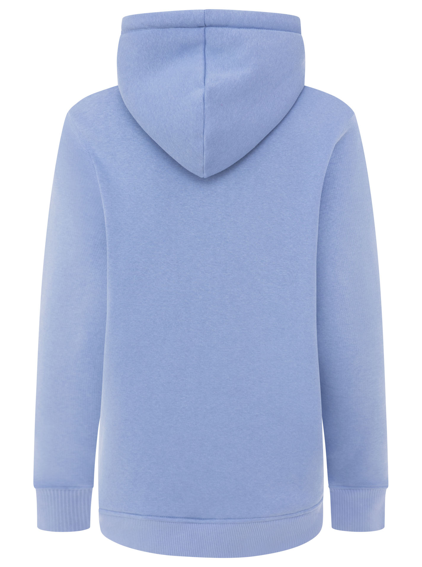 ART69d60a37019cb_087_Hoodie_BeachHome_31744_Mittelblau_Back