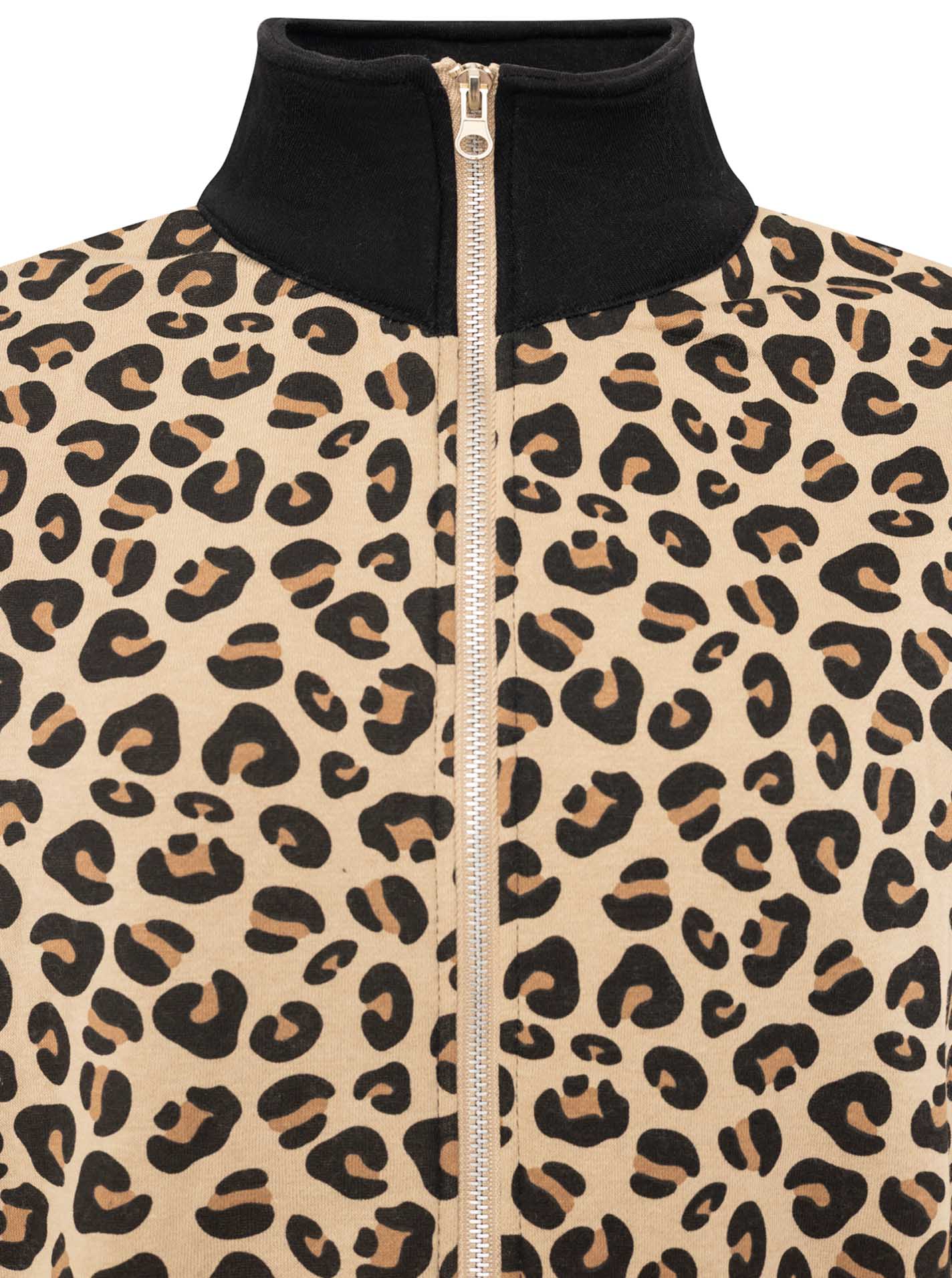 ART69eb1a7786c0b_029_175A6977