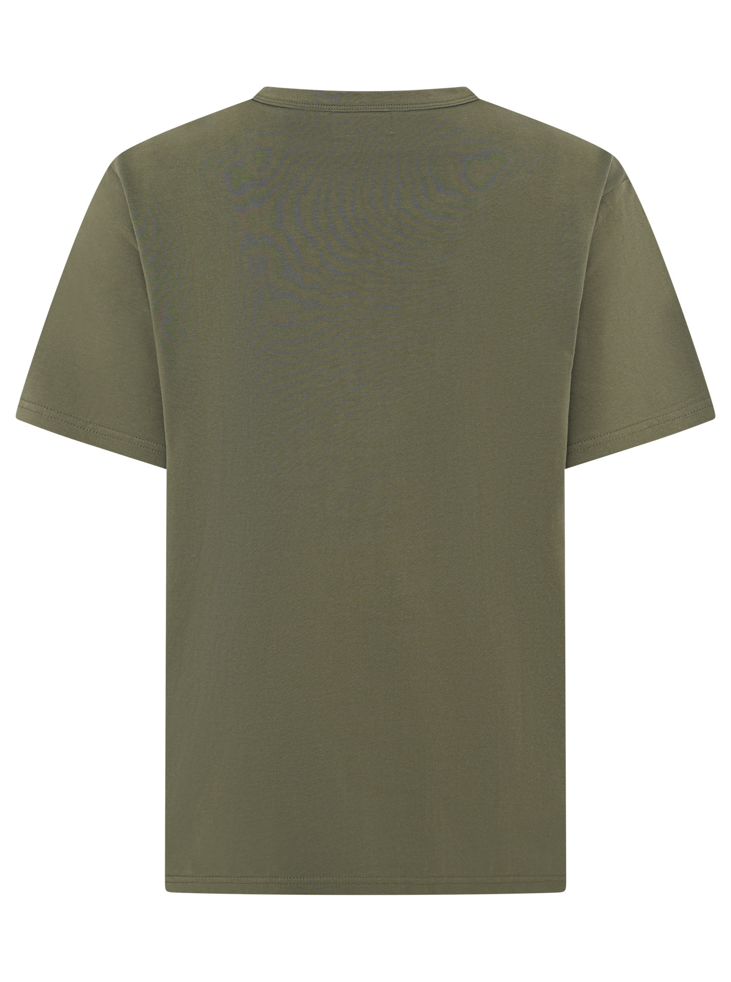 ART6938113040582_071_TshirtOversize_WildWildWild_45011_Khaki_Back