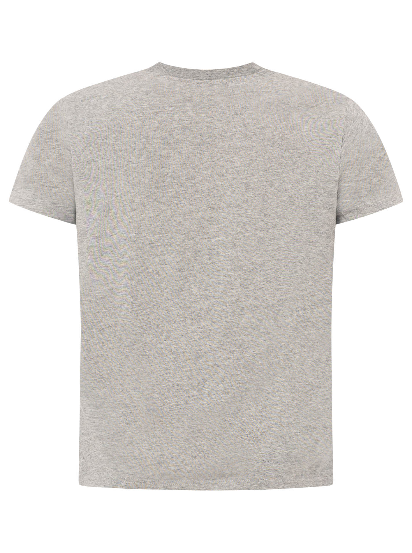 ART6985d5fc6bb74_025_Herren_TshirtRegular_SailorStickerei_47042_Grau_Back