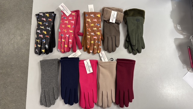 Handschuhe - Bundle (50Stk)