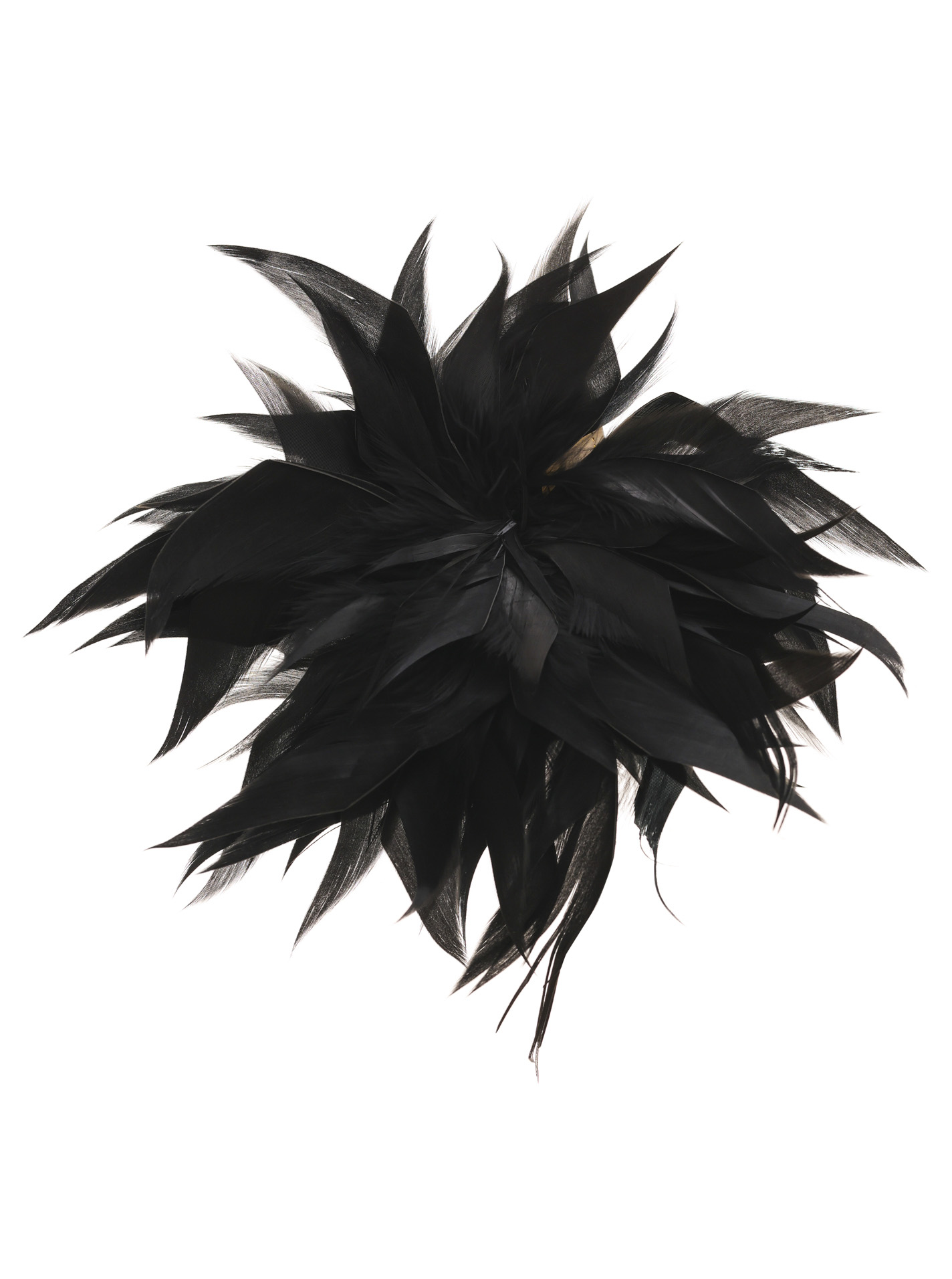 Schwarz